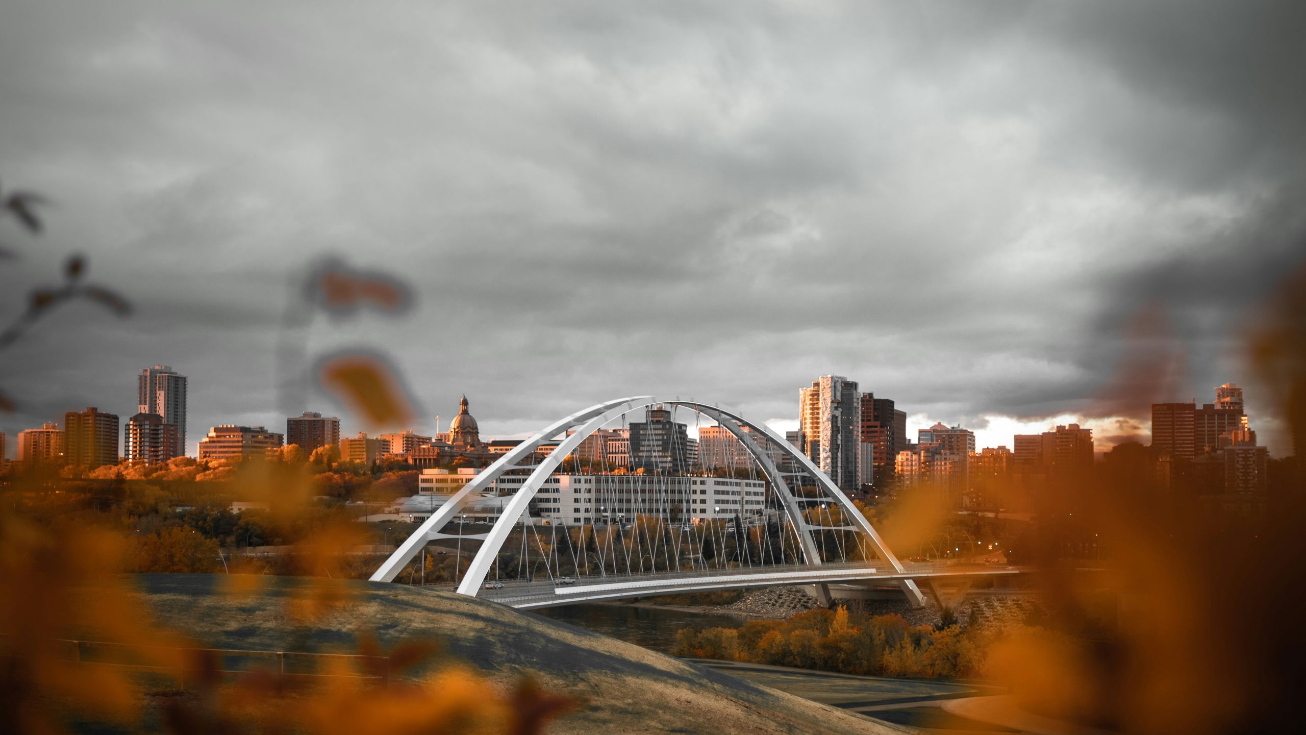 Cityscape of Edomton